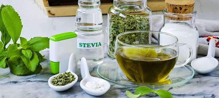 Stevia
